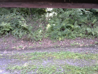 長野県菅平高原 ゆたか山荘 南側 2025/08/26 12:30