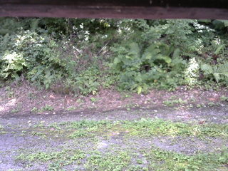 長野県菅平高原 ゆたか山荘 南側 2025/08/26 12:45