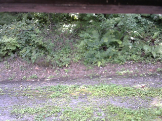 長野県菅平高原 ゆたか山荘 南側 2025/08/26 13:00