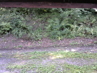 長野県菅平高原 ゆたか山荘 南側 2025/08/26 13:15