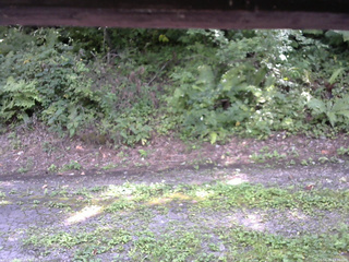 長野県菅平高原 ゆたか山荘 南側 2025/08/26 13:30