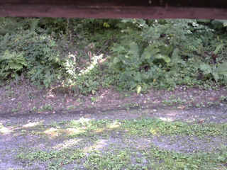 長野県菅平高原 ゆたか山荘 南側 2025/08/26 13:45