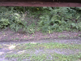 長野県菅平高原 ゆたか山荘 南側 2025/08/26 14:00