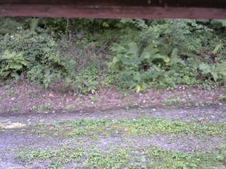 長野県菅平高原 ゆたか山荘 南側 2025/08/26 14:15