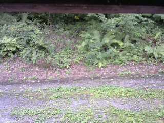 長野県菅平高原 ゆたか山荘 南側 2025/08/26 14:30