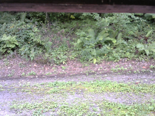 長野県菅平高原 ゆたか山荘 南側 2025/08/26 14:45