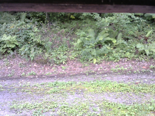 長野県菅平高原 ゆたか山荘 南側 2025/08/26 15:00