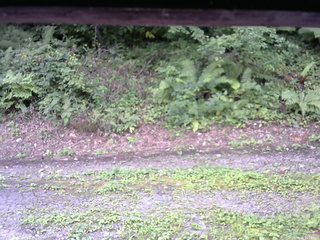 長野県菅平高原 ゆたか山荘 南側 2025/08/26 15:15