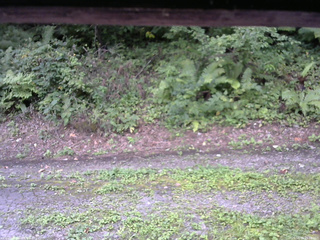 長野県菅平高原 ゆたか山荘 南側 2025/08/26 15:30