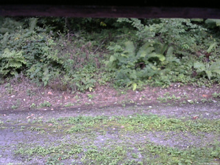 長野県菅平高原 ゆたか山荘 南側 2025/08/26 15:45