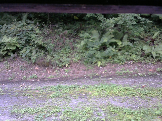 長野県菅平高原 ゆたか山荘 南側 2025/08/26 16:15