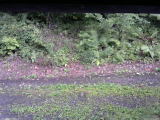 長野県菅平高原 ゆたか山荘 南側 2025/08/26 17:00