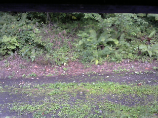 長野県菅平高原 ゆたか山荘 南側 2025/08/26 17:15