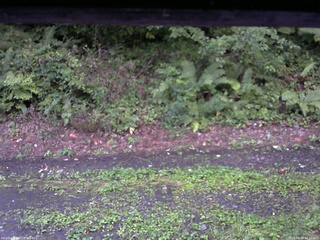 長野県菅平高原 ゆたか山荘 南側 2025/08/26 17:30