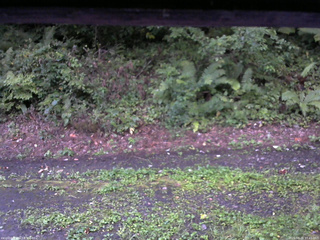 長野県菅平高原 ゆたか山荘 南側 2025/08/26 17:45