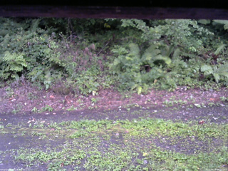 長野県菅平高原 ゆたか山荘 南側 2025/08/26 18:00