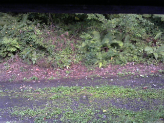 長野県菅平高原 ゆたか山荘 南側 2025/08/26 18:15