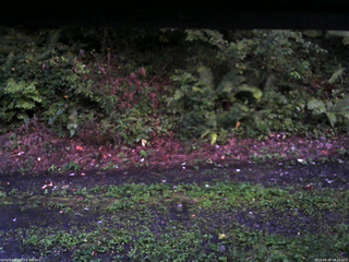 長野県菅平高原 ゆたか山荘 南側 2025/08/26 18:30