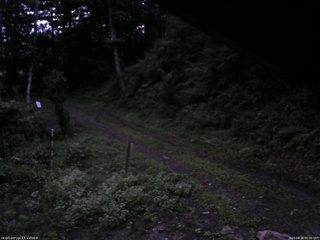 長野県菅平高原 ゆたか山荘 東側(坂下) 2025/08/26 05:00