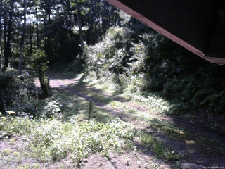 長野県菅平高原 ゆたか山荘 東側(坂下) 2025/08/26 08:45