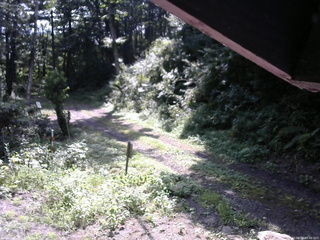 長野県菅平高原 ゆたか山荘 東側(坂下) 2025/08/26 09:00