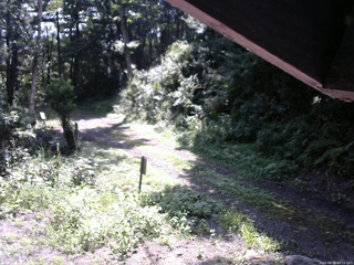 長野県菅平高原 ゆたか山荘 東側(坂下) 2025/08/26 09:15