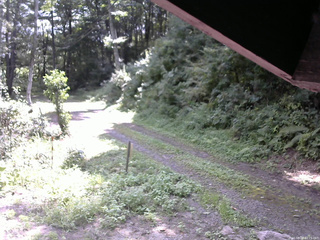 長野県菅平高原 ゆたか山荘 東側(坂下) 2025/08/26 10:15