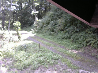 長野県菅平高原 ゆたか山荘 東側(坂下) 2025/08/26 10:45