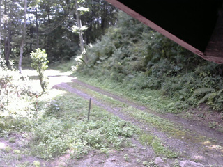 長野県菅平高原 ゆたか山荘 東側(坂下) 2025/08/26 11:00