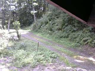 長野県菅平高原 ゆたか山荘 東側(坂下) 2025/08/26 11:30