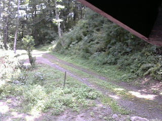 長野県菅平高原 ゆたか山荘 東側(坂下) 2025/08/26 11:45