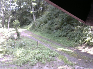長野県菅平高原 ゆたか山荘 東側(坂下) 2025/08/26 12:00
