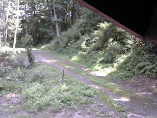 長野県菅平高原 ゆたか山荘 東側(坂下) 2025/08/26 13:00