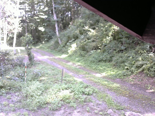長野県菅平高原 ゆたか山荘 東側(坂下) 2025/08/26 13:30