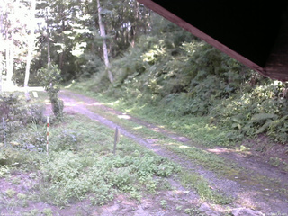 長野県菅平高原 ゆたか山荘 東側(坂下) 2025/08/26 13:45