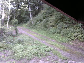 長野県菅平高原 ゆたか山荘 東側(坂下) 2025/08/26 14:30