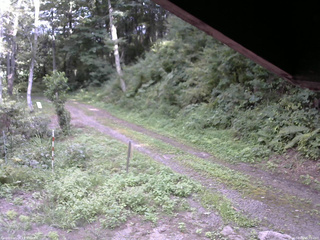長野県菅平高原 ゆたか山荘 東側(坂下) 2025/08/26 15:00