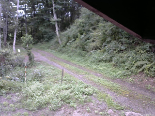 長野県菅平高原 ゆたか山荘 東側(坂下) 2025/08/26 15:15