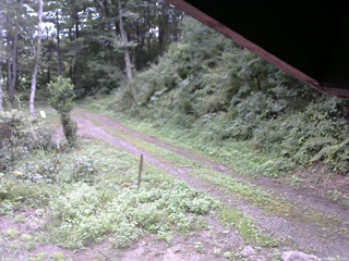 長野県菅平高原 ゆたか山荘 東側(坂下) 2025/08/26 15:30