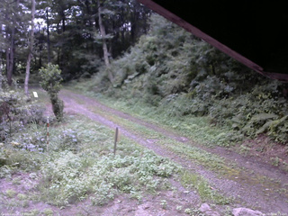 長野県菅平高原 ゆたか山荘 東側(坂下) 2025/08/26 16:15