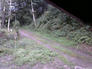 長野県菅平高原 ゆたか山荘 東側(坂下) 2025/08/26 16:30