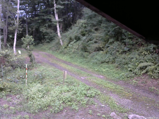 長野県菅平高原 ゆたか山荘 東側(坂下) 2025/08/26 16:45
