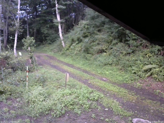 長野県菅平高原 ゆたか山荘 東側(坂下) 2025/08/26 17:00