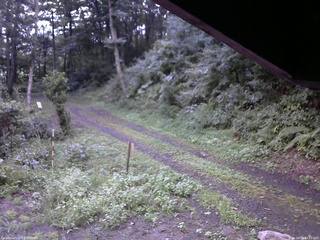 長野県菅平高原 ゆたか山荘 東側(坂下) 2025/08/26 17:45