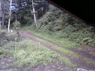 長野県菅平高原 ゆたか山荘 東側(坂下) 2025/08/26 18:00