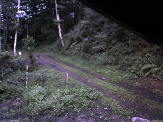 長野県菅平高原 ゆたか山荘 東側(坂下) 2025/08/26 18:30
