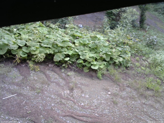 長野県菅平高原 ゆたか山荘 駐車場 2025/08/26 06:45