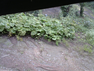 長野県菅平高原 ゆたか山荘 駐車場 2025/08/26 07:15