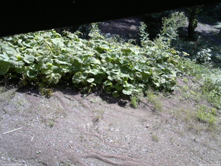 長野県菅平高原 ゆたか山荘 駐車場 2025/08/26 08:45