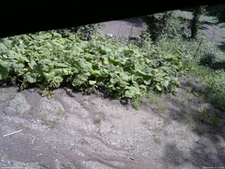長野県菅平高原 ゆたか山荘 駐車場 2025/08/26 10:15